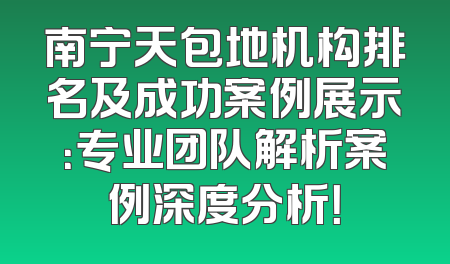 南宁天包地机构排名及成功案例展示：专业团队解析案例深度分析！