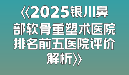 《2025银川鼻部软骨重塑术医院排名前五医院评价解析》