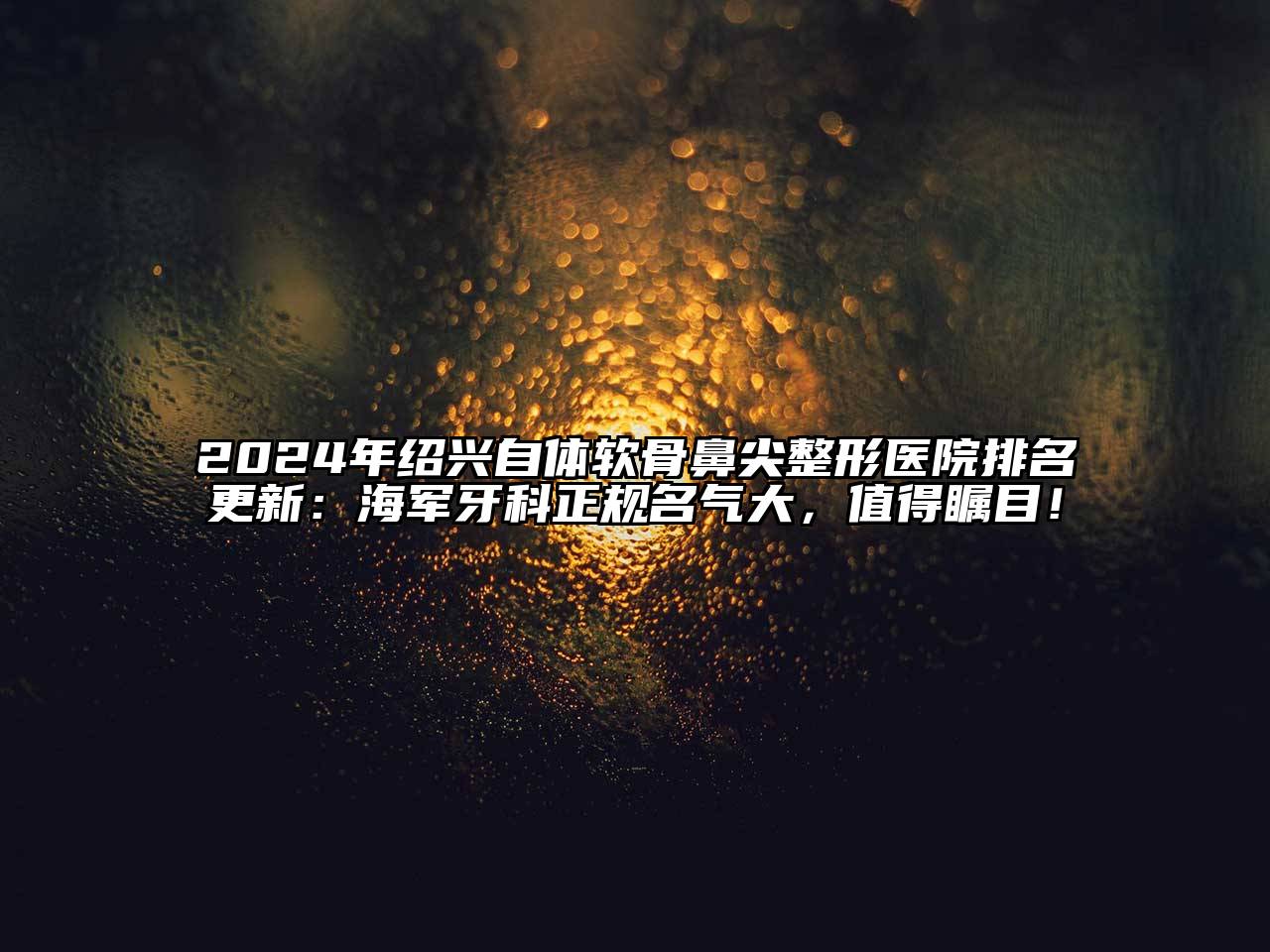 2024年绍兴自体软骨鼻尖整形医院排名更新：海军牙科正规名气大，值得瞩目！