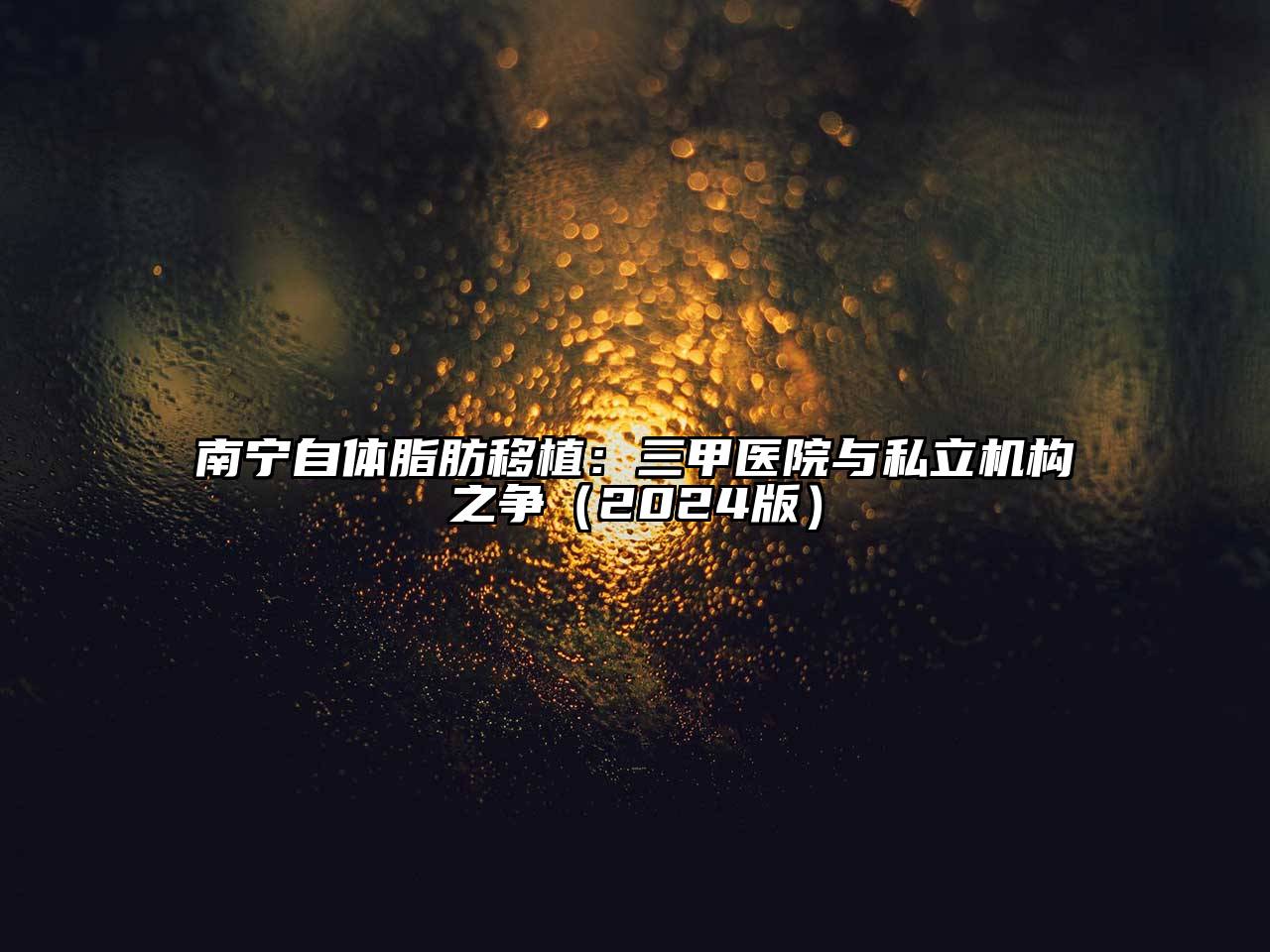 南宁自体脂肪移植：三甲医院与私立机构之争（2024版）