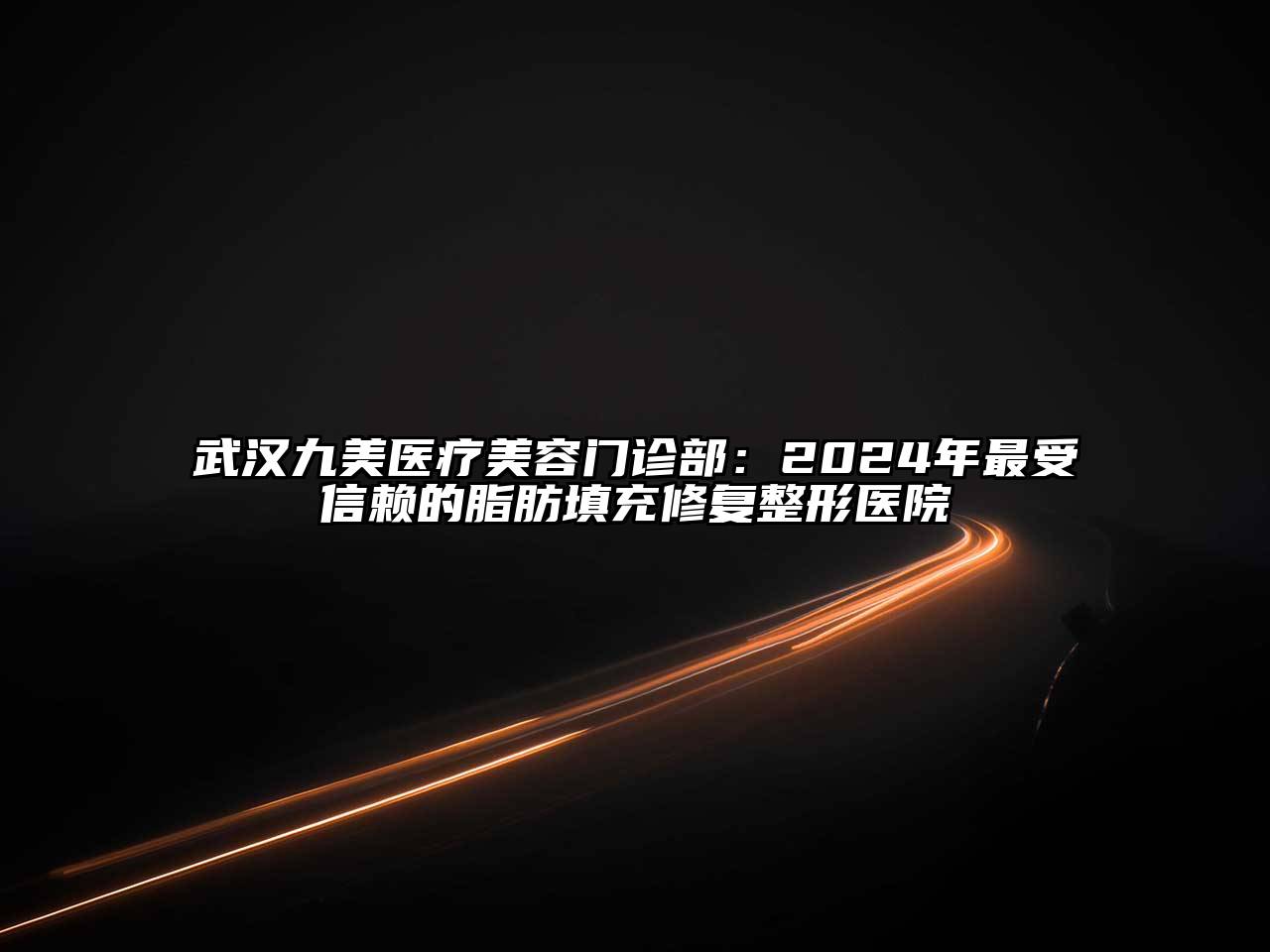 武汉九美医疗美容门诊部：2024年最受信赖的脂肪填充修复整形医院