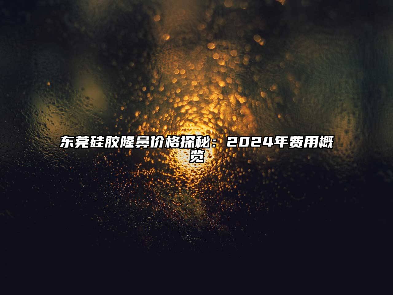 东莞硅胶隆鼻价格探秘：2024年费用概览