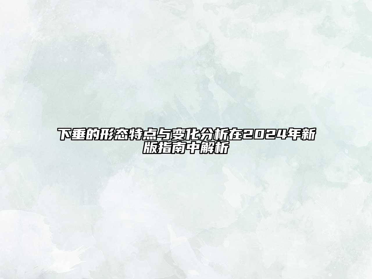 下垂的形态特点与变化分析在2024年新版指南中解析