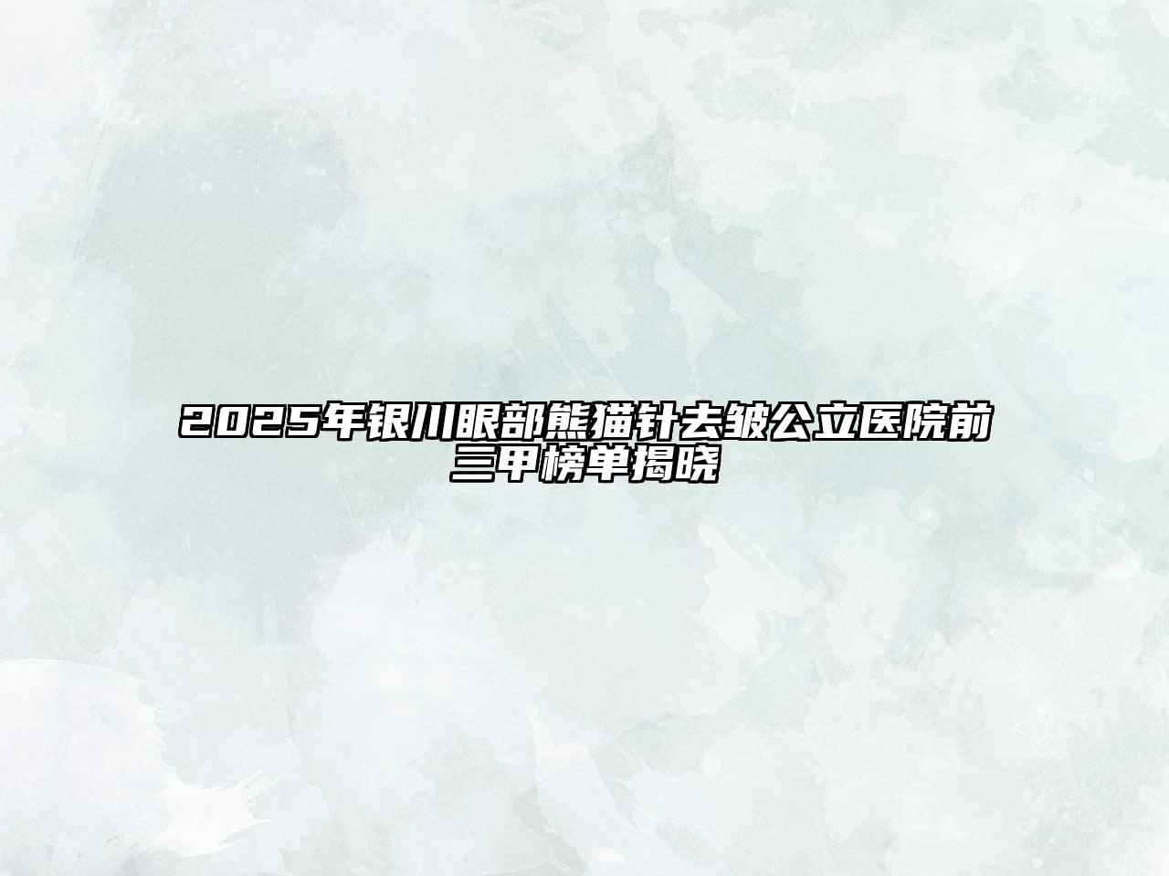 2025年银川眼部熊猫针去皱公立医院前三甲榜单揭晓