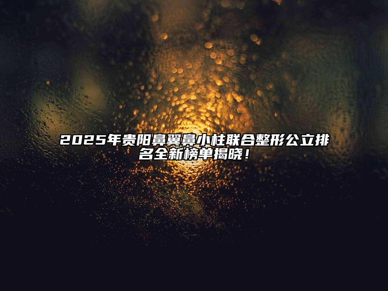 2025年贵阳鼻翼鼻小柱联合整形公立排名全新榜单揭晓！